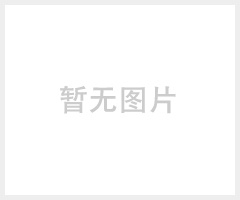 风管道插入式温湿度变送器